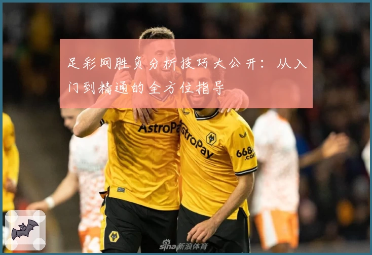 足彩网胜负分析技巧大公开：从入门到精通的全方位指导