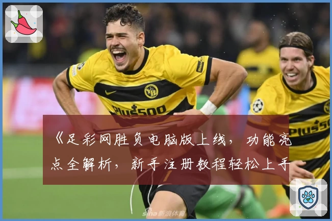 《足彩网胜负电脑版上线，功能亮点全解析，新手注册教程轻松上手》